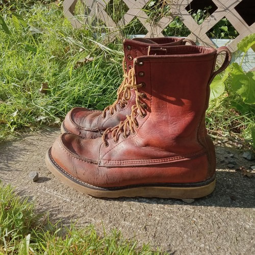 Vintage redwing irish setter - vintage,